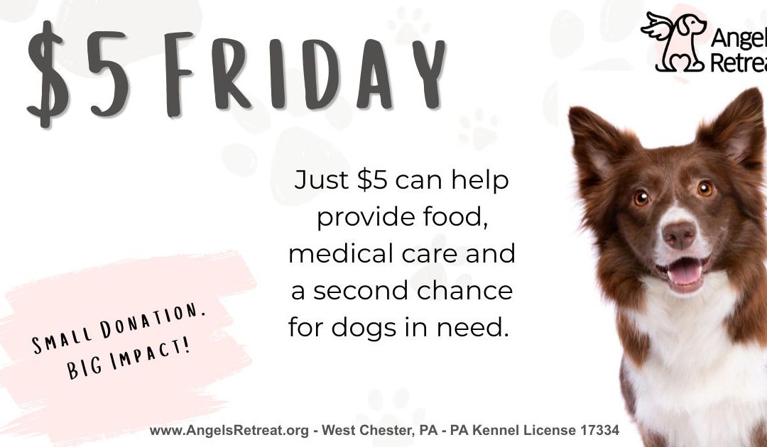 $5 Friday- ACCTs of Love Featuring Mr. Koda