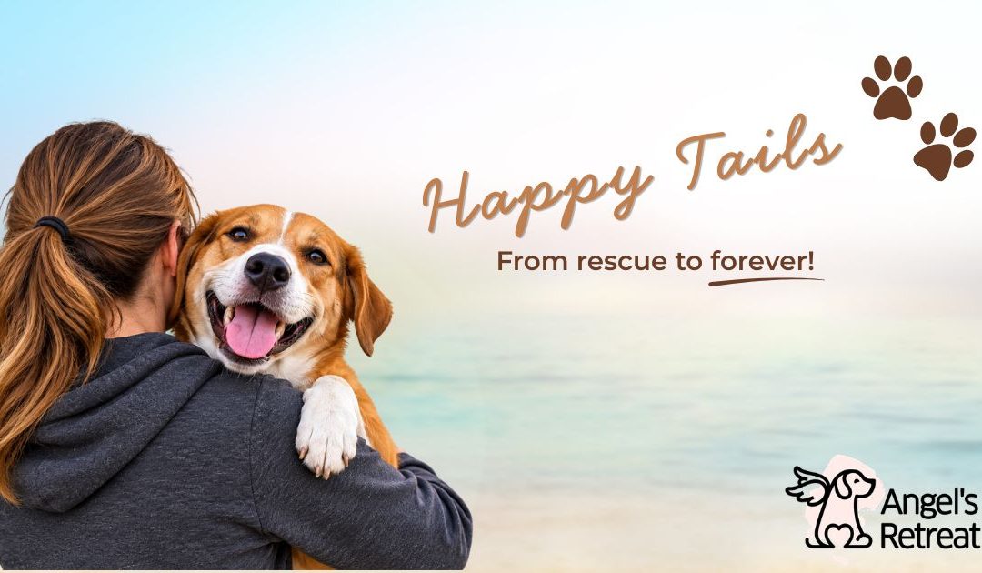 Stella & Daisy – From Fear to Freedom and the Joy They Bring