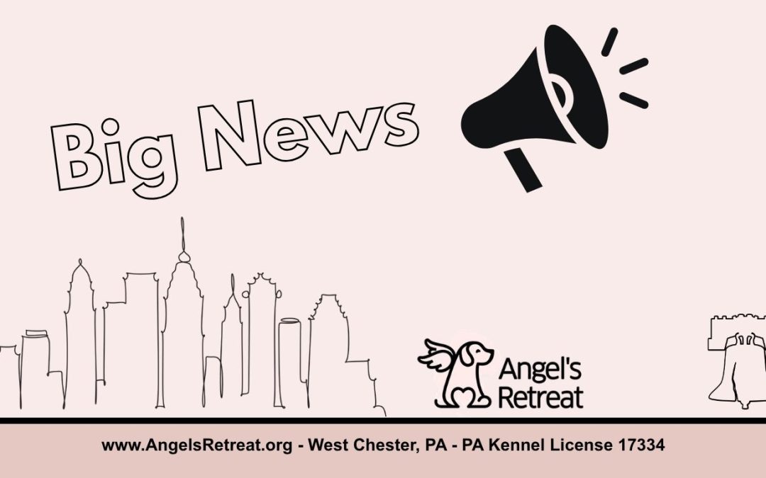 Angel’s Retreat is Bringing Low-Cost Veterinary Care to PA